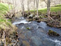 Galemys pyrenaicus 2, Desman, habitat, E, Lugo, Sierra del Caurel, Saxifraga-Mark Zekhuis