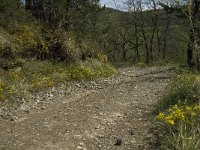 Callophrys rubi 3, Groentje, habitat, F, Isere, Miribel-Lanchatre, Malamorta, Saxifraga-Jan van der Straaten