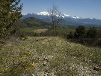 Callophrys rubi 6, Groentje, habitat, F, Isere, Saint Paul-les-Monestier, Saxifraga-Marijke Verhagen