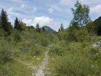 Carterocephalus palaemon 3, Bont dikkopje, habitat, F, Isere, Gresse-en- Vercors, Saxifraga-Marijke Verhagen