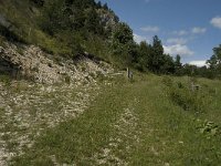 Lycaena phlaeas 10, Kleine vuurvlinder, habitat, F, Isere, Gresse-en-Vercors, Chauplane, Saxifraga-Jan van der Straaten