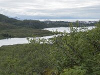 N, Nordland, Vagan, Djeveldalen 9, Saxifraga-Willem van Kruijsbergen