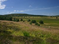 F, Lozere, Pont-de-Montvert-Sud-Mont-Lozère, Pic de Finiels 2, Saxifraga-Dirk Hilbers