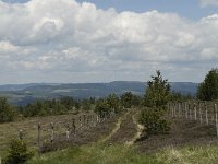 F, Lozere, Saint-Etienne-du-Valdonnez 1, Saxifraga-Marijke Verhagen