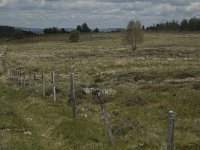 F, Lozere, Saint-Etienne-du-Valdonnez 2, Saxifraga-Marijke Verhagen