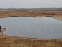 D, Niedersachsen, Rheden, Diepholzer Moorniederung 1, Saxifraga-Tom Heijnen