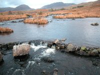 IRL, Co Gallway, Connemara, Derryclare 1, Saxifraga-Sasha van der Sleesen