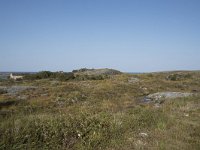 N, More og Romsdal, Fraena, Krakholmen 1, Saxifraga-Willem van Kruijsbergen