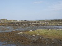 N, More og Romsdal, Fraena, Krakholmen 3, Saxifraga-Willem van Kruijsbergen