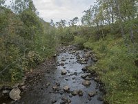 N, More og Romsdal, Fraena, Sylteelva 2, Saxifraga-Willem van Kruijsbergen