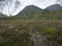 N, More og Romsdal, Fraena, Trollkyrkja 2, Saxifraga-Willem van Kruijsbergen