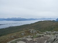 N, More og Romsdal, Molde, Tusenarsvarden 1, Saxifraga-Annemiek Bouwman