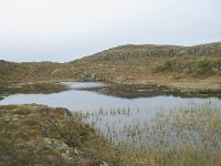 N, More og Romsdal, Molde, Tusenarsvarden 2, Saxifraga-Annemiek Bouwman