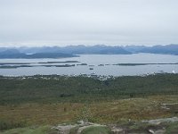 N, More og Romsdal, Molde, Tusenarsvarden 8, Saxifraga-Annemiek Bouwman