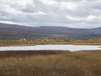 N, Oppland, Dovre, Fokstumyra 106, Saxifraga-Willem van Kruijsbergen