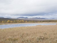 N, Oppland, Dovre, Fokstumyra 143, Saxifraga-Willem van Kruijsbergen