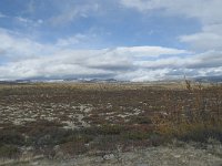 N, Oppland, Dovre, Fokstumyra 175, Saxifraga-Annemiek Bouwman