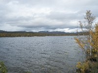 N, Oppland, Dovre, Fokstumyra 185, Saxifraga-Annemiek Bouwman