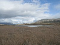 N, Oppland, Dovre, Fokstumyra 186, Saxifraga-Annemiek Bouwman