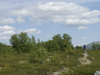 N, Oppland, Dovre, Fokstumyra 22, Saxifraga-Jan van der Straaten