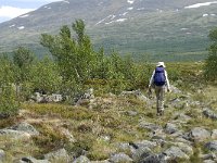 N, Oppland, Dovre, Fokstumyra 25, Saxifraga-Jan van der Straaten