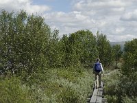 N, Oppland, Dovre, Fokstumyra 34, Saxifraga-Jan van der Straaten