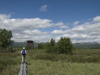 N, Oppland, Dovre, Fokstumyra 40, Saxifraga-Jan van der Straaten