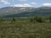 N, Oppland, Dovre, Fokstumyra 41, Saxifraga-Jan van der Straaten