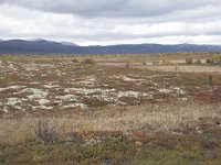 N, Oppland, Dovre, Valasjoen 13, Saxifraga-Willem van Kruijsbergen