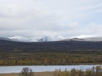 N, Oppland, Dovre, Valasjoen 2, Saxifraga-Willem van Kruijsbergen