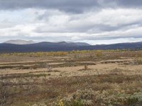 N, Oppland, Dovre, Valasjoen 5, Saxifraga-Willem van Kruijsbergen