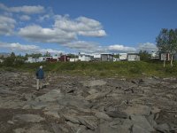 S, Norbotten Lan, Arjeplog 14, Saxifraga-Marijke Verhagen