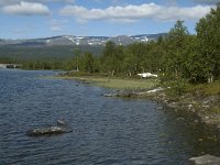 S, Norbotten Lan, Arjeplog 5, Saxifraga-Marijke Verhagen