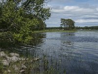 S, Uppsala Lan, Heby 14, Saxifraga-Jan van der Straaten