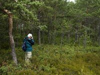 S, Uppsala Lan, Heby 19, Saxifraga-Marijke Verhagen