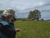 S, Uppsala Lan, Heby 21, Saxifraga-Marijke Verhagen