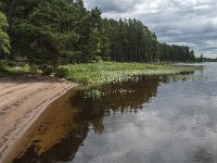 S, Uppsala Lan, Heby 3, Saxifraga-Jan van der Straaten