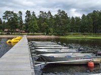 S, Uppsala Lan, Heby 7, Saxifraga-Jan van der Straaten