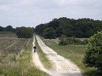 Bargerveen  Track through Bargerveen Nature reserve, Emmen, Drenthe, Netherlands : Bargerveen nature reserve, Bourtanger Moor-Bargerveen International Nature Park, color colour, Dutch Holland Netherlands, Europe European, horizontal, nature natural, nature reserve, room, rural landscape, the way to go, track path, vertical