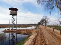 NL, Drenthe, Noordenveld, Fochteloerveen 1, Saxifraga-Hans Dekker