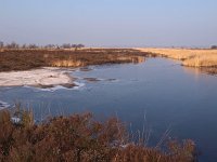 NL, Drenthe, Westerveld, Kraloer Heide 4, Saxifraga-Hans Dekker