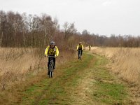 NL, Limburg, Horst aan de Maas, Mariapeel 17, Saxifraga-Harry van Oosterhout