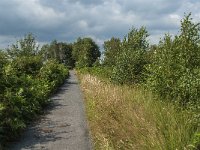 NL, Limburg, Nederweert, Groote Peel 2, Saxifraga-Jan van der Straaten