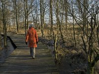 NL, Limburg, Nederweert, Groote Peel 25, Saxifraga-Jan van der Straaten