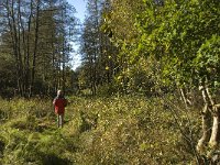 NL, Limburg, Nederweert, In den Vloed 16, Saxifraga-Jan van der Straaten