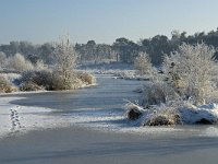 NL, Noord-Brabant, Alphen-Chaam, Goudberg 20, Saxifraga-Jan van der Straaten