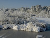 NL, Noord-Brabant, Alphen-Chaam, Goudberg 21, Saxifraga-Jan van der Straaten