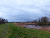 NL, Overijssel, Zwolle, Buitenlanden Langeholte 2, Saxifraga-Mark Zekhuis