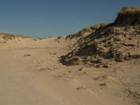 F, Pas-de-Calais, Ambleteuse, Dunes de la Slack 8, Saxifraga-Jan van der Straaten