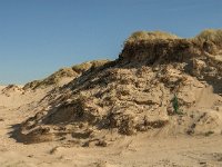 F, Pas-de-Calais, Ambleteuse, Dunes de la Slack 9, Saxifraga-Jan van der Straaten